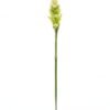 Artificial Flower 9*9*84cm Alpinia purpurata single stem GS-50525002-G1 2025Oct YeahFlower is one of Chinese leading OEM manufacturers and exporters , supplying the silk flowers, wholesale artificial trees