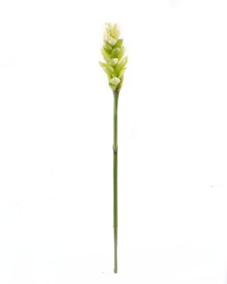 Artificial Flower 9*9*84cm Alpinia purpurata single stem GS-50525002-G1 2025Oct YeahFlower is one of Chinese leading OEM manufacturers and exporters , supplying the silk flowers, wholesale artificial trees