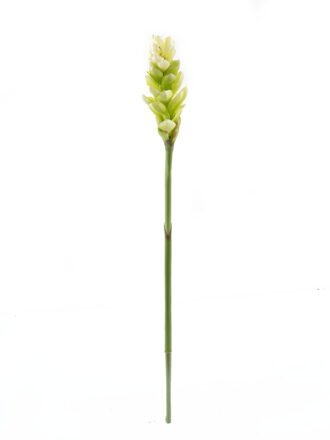 Artificial Flower 9*9*84cm Alpinia purpurata single stem GS-50525002 2025Oct 3,000+ sqm showroom with thousands of artificial flowers, plants & trees ready for global sourcing.