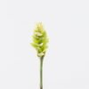 Artificial Flower 9*9*84cm Alpinia purpurata single stem GS-50525002-G1 2025Oct YeahFlower is one of Chinese leading OEM manufacturers and exporters , supplying the silk flowers, wholesale artificial trees