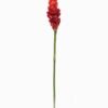 Artificial Flower Alpinia purpurata single stem GS-50525002-R1_1 Artificial Flower 9*9*84cm Alpinia purpurata single stem GS-50525002-R1 2025Oct YeahFlower is one of Chinese leading OEM manufacturers and exporters , supplying the silk flowers, wholesale artificial trees