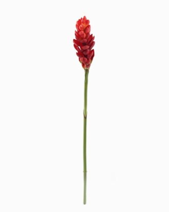 Artificial Flower 9*9*84cm Alpinia purpurata single stem GS-50525002-R1 2025Oct YeahFlower is one of Chinese leading OEM manufacturers and exporters , supplying the silk flowers, wholesale artificial trees