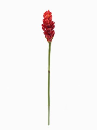 Artificial Flower 9*9*84cm Alpinia purpurata single stem GS-50525002-G1 2025Oct 3,000+ sqm showroom with thousands of artificial flowers, plants & trees ready for global sourcing.