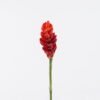 Artificial Flower Alpinia purpurata single stem GS-50525002-R1_8 Artificial Flower 9*9*84cm Alpinia purpurata single stem GS-50525002-R1 2025Oct YeahFlower is one of Chinese leading OEM manufacturers and exporters , supplying the silk flowers, wholesale artificial trees