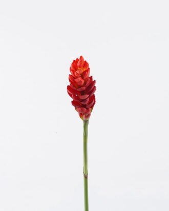 Artificial Flower 9*9*84cm Alpinia purpurata single stem GS-50525002-R1 2025Oct YeahFlower is one of Chinese leading OEM manufacturers and exporters , supplying the silk flowers, wholesale artificial trees