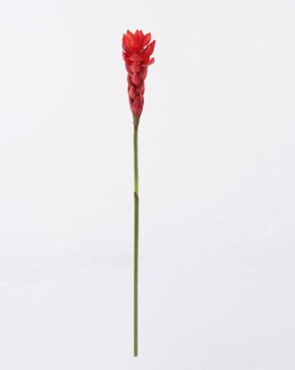 Artificial Flower 7*7*75cm Alpinia purpurata single stem GS-50525011-R2 2025Oct YeahFlower is one of Chinese leading OEM manufacturers and exporters , supplying the silk flowers, wholesale artificial trees Artificial Flower 7*7*75cm Alpinia purpurata single stem GS-50525011-R2 2025Oct YeahFlower is one of Chinese leading OEM manufacturers and exporters , supplying the silk flowers, wholesale artificial trees