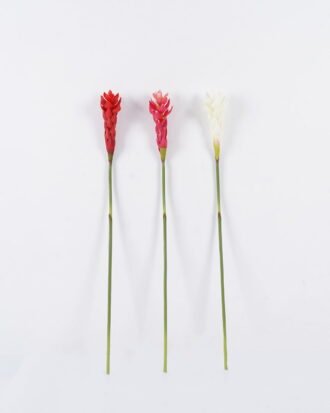 Artificial Flower 7*7*75cm Alpinia purpurata single stem GS-50525011 2025Oct YeahFlower is one of Chinese leading OEM manufacturers and exporters , supplying the silk flowers, wholesale artificial trees Artificial Flower 7*7*75cm Alpinia purpurata single stem GS-50525011 2025Oct YeahFlower is one of Chinese leading OEM manufacturers and exporters , supplying the silk flowers, wholesale artificial trees