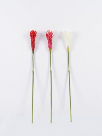 Artificial Flower 7*7*75cm Alpinia purpurata single stem GS-50525011-R2 2025Oct 3,000+ sqm showroom with thousands of artificial flowers, plants & trees ready for global sourcing.