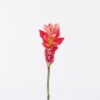 Artificial Flower 7*7*75cm Alpinia purpurata single stem GS-50525011 2025Oct YeahFlower is one of Chinese leading OEM manufacturers and exporters , supplying the silk flowers, wholesale artificial trees
