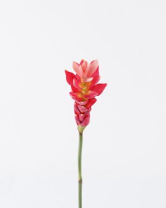 Artificial Flower 7*7*75cm Alpinia purpurata single stem GS-50525011 2025Oct YeahFlower is one of Chinese leading OEM manufacturers and exporters , supplying the silk flowers, wholesale artificial trees Artificial Flower 7*7*75cm Alpinia purpurata single stem GS-50525011 2025Oct YeahFlower is one of Chinese leading OEM manufacturers and exporters , supplying the silk flowers, wholesale artificial trees