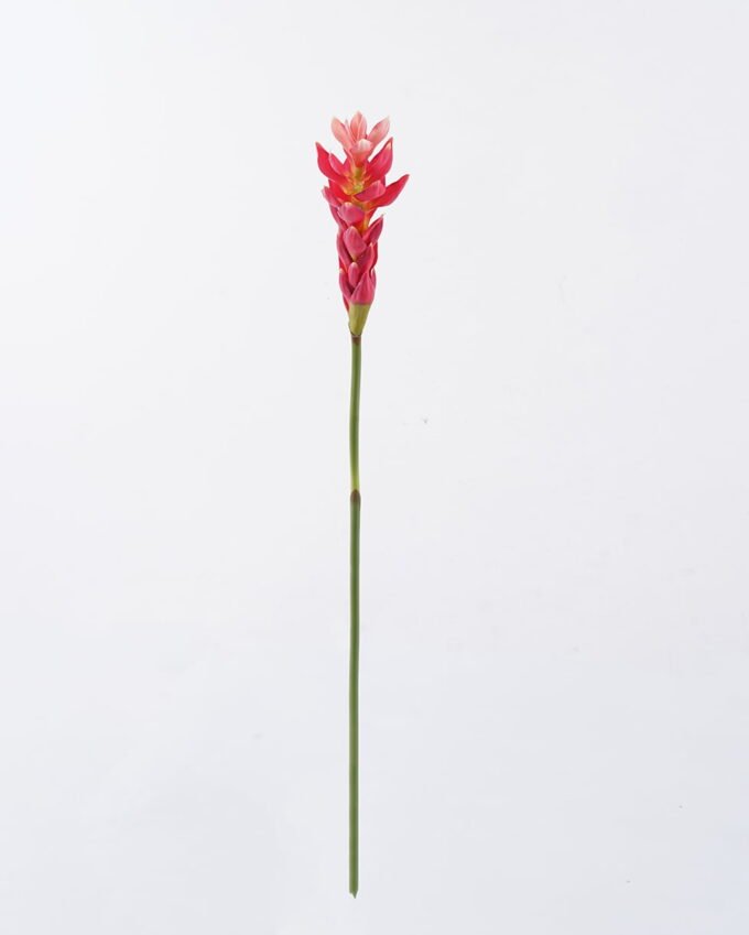 Artificial Flower 7*7*75cm Alpinia purpurata single stem GS-50525011 2025Oct YeahFlower is one of Chinese leading OEM manufacturers and exporters , supplying the silk flowers, wholesale artificial trees
