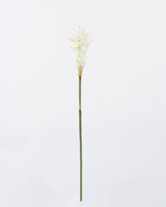 Artificial Flower 7*7*75cm Alpinia purpurata single stem GS-50525011 2025Oct YeahFlower is one of Chinese leading OEM manufacturers and exporters , supplying the silk flowers, wholesale artificial trees