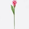 Artificial Flower 11*11*80cm Alpinia purpurata single stem GS-50525059-P1 2025Oct YeahFlower is one of Chinese leading OEM manufacturers and exporters , supplying the silk flowers, wholesale artificial trees