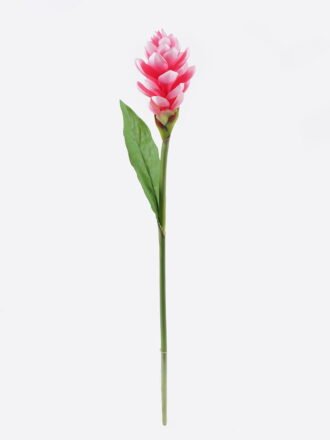 Artificial Flower 11*11*80cm Alpinia purpurata single stem GS-50525059-R2 2025Oct 3,000+ sqm showroom with thousands of artificial flowers, plants & trees ready for global sourcing.