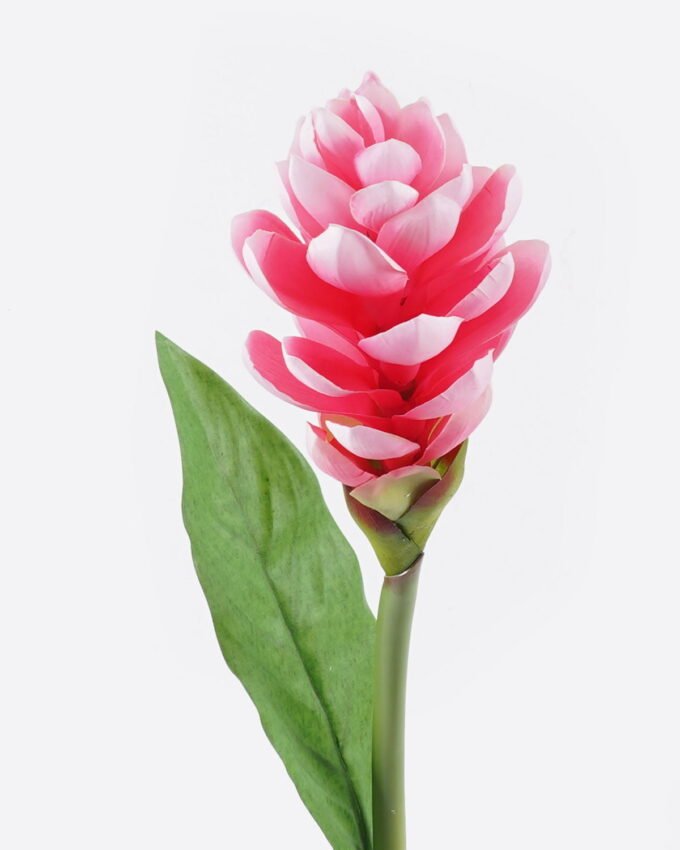 Artificial Flower 11*11*80cm Alpinia purpurata single stem GS-50525059-P1 2025Oct YeahFlower is one of Chinese leading OEM manufacturers and exporters , supplying the silk flowers, wholesale artificial trees