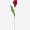 Artificial Flower 11*11*80cm Alpinia purpurata single stem GS-50525059-R2 2025Oct YeahFlower is one of Chinese leading OEM manufacturers and exporters , supplying the silk flowers, wholesale artificial trees