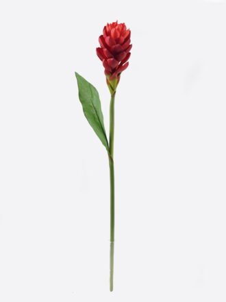 Artificial Flower 8*8*72cm Alpinia purpurata single stem GS-50525060 2025Oct 3,000+ sqm showroom with thousands of artificial flowers, plants & trees ready for global sourcing.