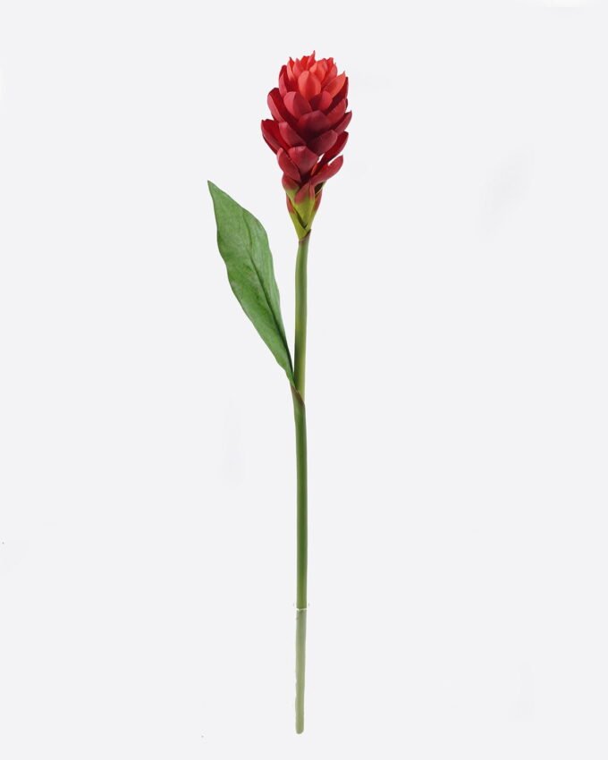 Artificial Flower 11*11*80cm Alpinia purpurata single stem GS-50525059-R2 2025Oct YeahFlower is one of Chinese leading OEM manufacturers and exporters , supplying the silk flowers, wholesale artificial trees