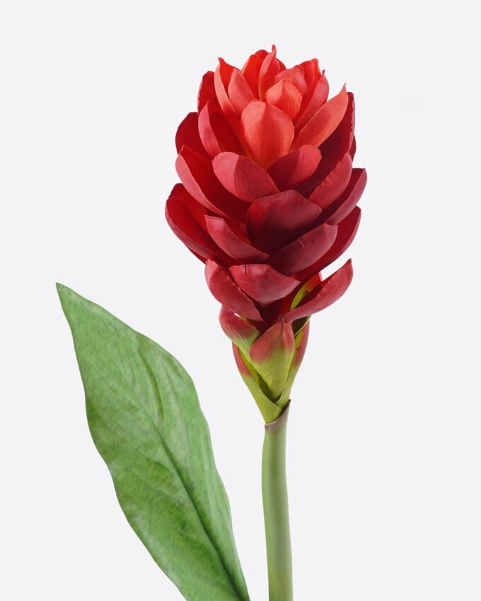 Artificial Flower 11*11*80cm Alpinia purpurata single stem GS-50525059-R2 2025Oct YeahFlower is one of Chinese leading OEM manufacturers and exporters , supplying the silk flowers, wholesale artificial trees