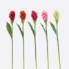 Artificial Flower Alpinia purpurata single stem GS-50525059_2 Artificial Flower 11*11*80cm Alpinia purpurata single stem GS-50525059 2025Oct YeahFlower is one of Chinese leading OEM manufacturers and exporters , supplying the silk flowers, wholesale artificial trees