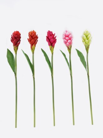 Artificial Flower 11*11*80cm Alpinia purpurata single stem GS-50525059-P1 2025Oct 3,000+ sqm showroom with thousands of artificial flowers, plants & trees ready for global sourcing.