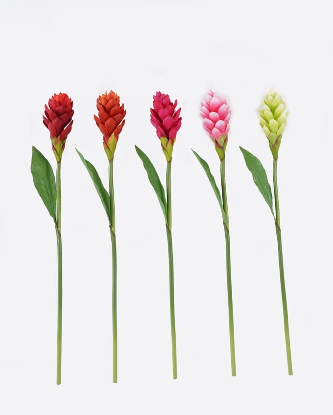 Artificial Flower Alpinia purpurata single stem GS-50525059_2 Artificial Flower 11*11*80cm Alpinia purpurata single stem GS-50525059 2025Oct YeahFlower is one of Chinese leading OEM manufacturers and exporters , supplying the silk flowers, wholesale artificial trees