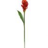 Artificial Flower Alpinia purpurata single stem GS-50525059_4 Artificial Flower 11*11*80cm Alpinia purpurata single stem GS-50525059 2025Oct YeahFlower is one of Chinese leading OEM manufacturers and exporters , supplying the silk flowers, wholesale artificial trees