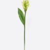 Artificial Flower Alpinia purpurata single stem GS-50525059_5 Artificial Flower 11*11*80cm Alpinia purpurata single stem GS-50525059 2025Oct YeahFlower is one of Chinese leading OEM manufacturers and exporters , supplying the silk flowers, wholesale artificial trees