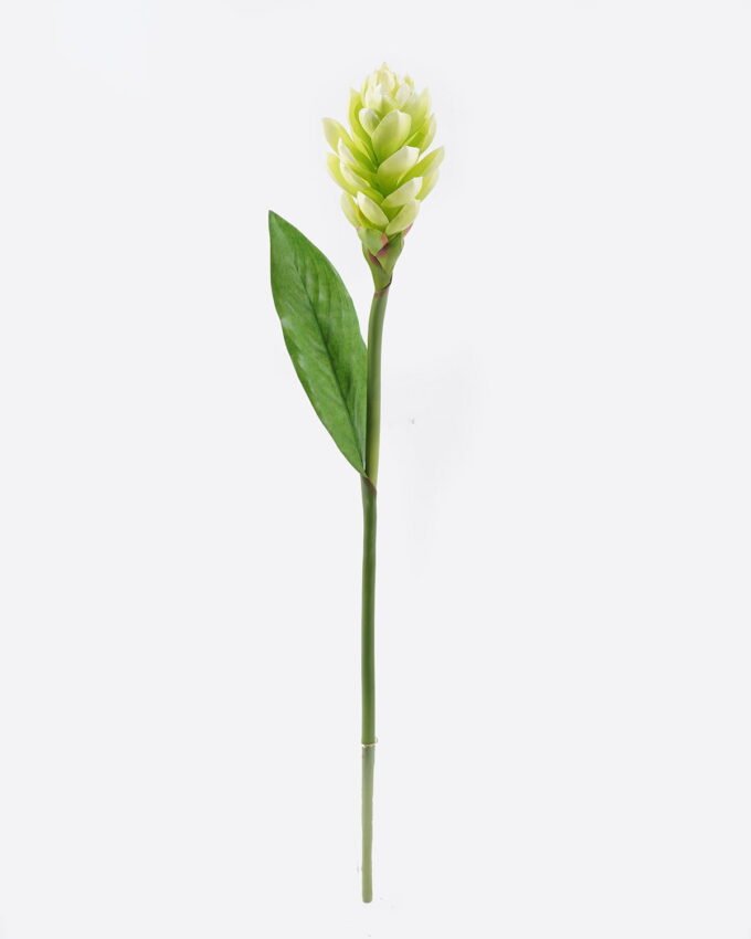 Artificial Flower Alpinia purpurata single stem GS-50525059_5 Artificial Flower 11*11*80cm Alpinia purpurata single stem GS-50525059 2025Oct YeahFlower is one of Chinese leading OEM manufacturers and exporters , supplying the silk flowers, wholesale artificial trees