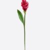Artificial Flower Alpinia purpurata single stem GS-50525059_6 Artificial Flower 11*11*80cm Alpinia purpurata single stem GS-50525059 2025Oct YeahFlower is one of Chinese leading OEM manufacturers and exporters , supplying the silk flowers, wholesale artificial trees