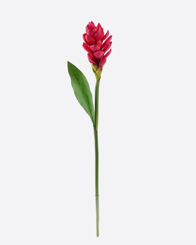 Artificial Flower Alpinia purpurata single stem GS-50525059_6 Artificial Flower 11*11*80cm Alpinia purpurata single stem GS-50525059 2025Oct YeahFlower is one of Chinese leading OEM manufacturers and exporters , supplying the silk flowers, wholesale artificial trees