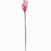 Artificial Flower Alpinia purpurata single stem GS-50525060-P2_3 Artificial Flower 8*8*72cm Alpinia purpurata single stem GS-50525060-P2 2025Oct YeahFlower is one of Chinese leading OEM manufacturers and exporters , supplying the silk flowers, wholesale artificial trees