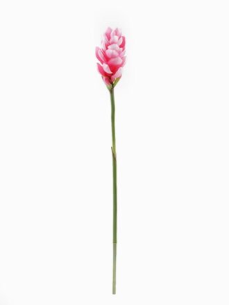 Artificial Plant 40*79cm Cuspidal livistona chinensis single stem GS-50525061 2025Oct 3,000+ sqm showroom with thousands of artificial flowers, plants & trees ready for global sourcing.