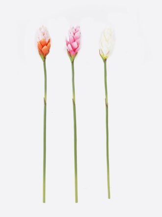 Artificial Flower 8*8*72cm Alpinia purpurata single stem GS-50525060-P2 2025Oct 3,000+ sqm showroom with thousands of artificial flowers, plants & trees ready for global sourcing.