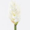 Artificial Flower Alpinia purpurata single stem GS-50525060_4 Artificial Flower 8*8*72cm Alpinia purpurata single stem GS-50525060 2025Oct YeahFlower is one of Chinese leading OEM manufacturers and exporters , supplying the silk flowers, wholesale artificial trees