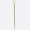 Artificial Flower Alpinia purpurata single stem GS-50525060_5 Artificial Flower 8*8*72cm Alpinia purpurata single stem GS-50525060 2025Oct YeahFlower is one of Chinese leading OEM manufacturers and exporters , supplying the silk flowers, wholesale artificial trees