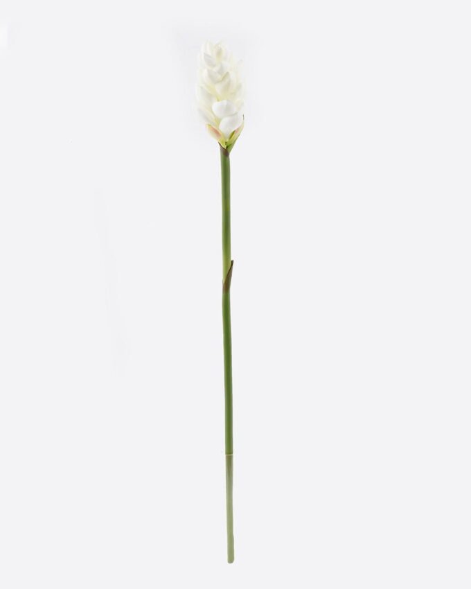Artificial Flower Alpinia purpurata single stem GS-50525060_5 Artificial Flower 8*8*72cm Alpinia purpurata single stem GS-50525060 2025Oct YeahFlower is one of Chinese leading OEM manufacturers and exporters , supplying the silk flowers, wholesale artificial trees
