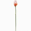 Artificial Flower Alpinia purpurata single stem GS-50525060_6 Artificial Flower 8*8*72cm Alpinia purpurata single stem GS-50525060 2025Oct YeahFlower is one of Chinese leading OEM manufacturers and exporters , supplying the silk flowers, wholesale artificial trees