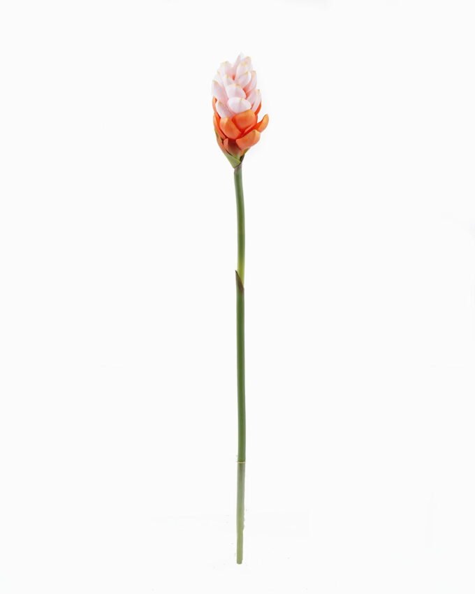 Artificial Flower Alpinia purpurata single stem GS-50525060_6 Artificial Flower 8*8*72cm Alpinia purpurata single stem GS-50525060 2025Oct YeahFlower is one of Chinese leading OEM manufacturers and exporters , supplying the silk flowers, wholesale artificial trees