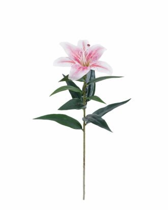 Artificial Flower 15*15*63cm Alstroemerias single stem GS-64925019-P2 2025Oct YeahFlower is one of Chinese leading OEM manufacturers and exporters , supplying the silk flowers, wholesale artificial trees Artificial Flower 15*15*63cm Alstroemerias single stem GS-64925019-P2 2025Oct YeahFlower is one of Chinese leading OEM manufacturers and exporters , supplying the silk flowers, wholesale artificial trees