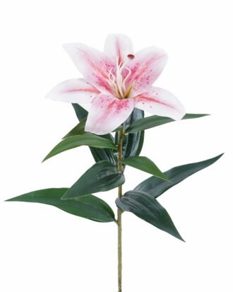 Artificial Flower 15*15*63cm Alstroemerias single stem GS-64925019-P2 2025Oct YeahFlower is one of Chinese leading OEM manufacturers and exporters , supplying the silk flowers, wholesale artificial trees Artificial Flower 15*15*63cm Alstroemerias single stem GS-64925019-P2 2025Oct YeahFlower is one of Chinese leading OEM manufacturers and exporters , supplying the silk flowers, wholesale artificial trees