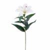 Artificial Flower Alstroemerias single stem GS-64925019-W1_1 Artificial Flower 15*15*63cm Alstroemerias single stem GS-64925019-W1 2025Oct YeahFlower is one of Chinese leading OEM manufacturers and exporters , supplying the silk flowers, wholesale artificial trees
