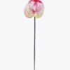 Artificial Flower Anthurium single stem GS-64922016R-RST-C1_3 Artificial Flower 13*13*58cm Anthurium single stem GS-64922016R-RST-C1 2025Oct YeahFlower is one of Chinese leading OEM manufacturers and exporters , supplying the silk flowers, wholesale artificial trees
