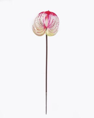Artificial Flower 13*13*58cm Anthurium single stem GS-64922016R-RST-C1 2025Oct YeahFlower is one of Chinese leading OEM manufacturers and exporters , supplying the silk flowers, wholesale artificial trees Artificial Flower 13*13*58cm Anthurium single stem GS-64922016R-RST-C1 2025Oct YeahFlower is one of Chinese leading OEM manufacturers and exporters , supplying the silk flowers, wholesale artificial trees