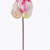 Artificial Flower Anthurium single stem GS-64922016R-RST-C1_4 Artificial Flower 13*13*58cm Anthurium single stem GS-64922016R-RST-C1 2025Oct YeahFlower is one of Chinese leading OEM manufacturers and exporters , supplying the silk flowers, wholesale artificial trees