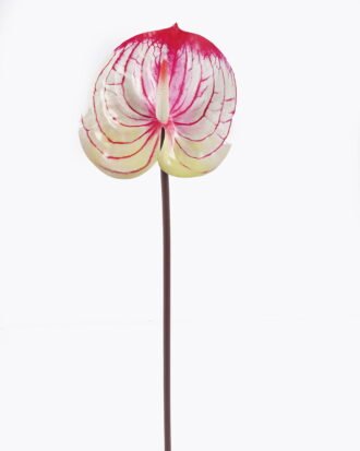 Artificial Flower 13*13*58cm Anthurium single stem GS-64922016R-RST-C1 2025Oct YeahFlower is one of Chinese leading OEM manufacturers and exporters , supplying the silk flowers, wholesale artificial trees Artificial Flower 13*13*58cm Anthurium single stem GS-64922016R-RST-C1 2025Oct YeahFlower is one of Chinese leading OEM manufacturers and exporters , supplying the silk flowers, wholesale artificial trees