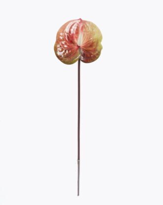 Artificial Flower 13*13*58cm Anthurium single stem GS-64922016R-RST-K1 2025Oct YeahFlower is one of Chinese leading OEM manufacturers and exporters , supplying the silk flowers, wholesale artificial trees Artificial Flower 13*13*58cm Anthurium single stem GS-64922016R-RST-K1 2025Oct YeahFlower is one of Chinese leading OEM manufacturers and exporters , supplying the silk flowers, wholesale artificial trees