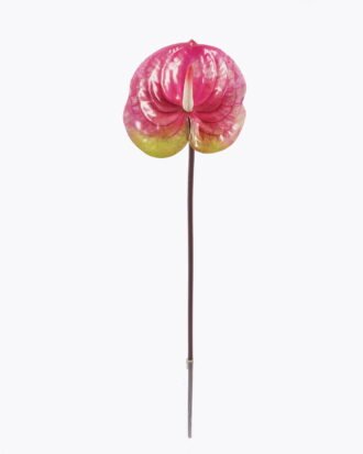 Artificial Flower 13*13*58cm Anthurium single stem GS-64922016R-RST-P1 2025Oct YeahFlower is one of Chinese leading OEM manufacturers and exporters , supplying the silk flowers, wholesale artificial trees Artificial Flower 13*13*58cm Anthurium single stem GS-64922016R-RST-P1 2025Oct YeahFlower is one of Chinese leading OEM manufacturers and exporters , supplying the silk flowers, wholesale artificial trees