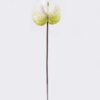 Artificial Flower 13*13*58cm Anthurium single stem GS-64922016R-RST 2025Oct YeahFlower is one of Chinese leading OEM manufacturers and exporters , supplying the silk flowers, wholesale artificial trees