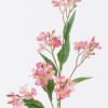 Artificial Flower Asiatic apple 24 single stem GS-77525009-R1_4 Artificial Flower 15*15*77cm Asiatic apple *24 single stem GS-77525009-R1 2025Oct YeahFlower is one of Chinese leading OEM manufacturers and exporters , supplying the silk flowers, wholesale artificial trees